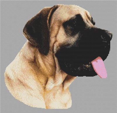 (image for) Fawn Great Dane
